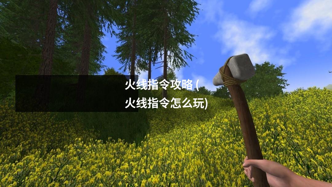 火线指令攻略 (火线指令怎么玩)